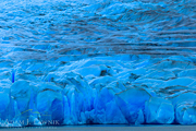 Czoło lodowca z innej perspektywy. © Adam Ławnik
